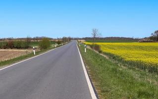 bela vista em estradas rurais com campos e árvores no norte da europa foto