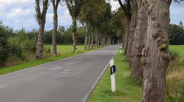 bela vista em estradas rurais com campos e árvores no norte da europa foto