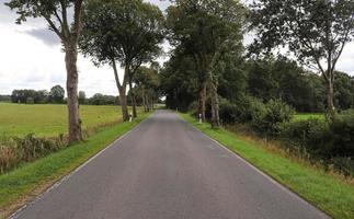 bela vista em estradas rurais com campos e árvores no norte da europa foto