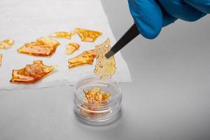 estudo científico de terpenos de cannabis, cera thc pura na mão foto