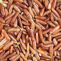 grãos de arroz vermelho cru close-up foto