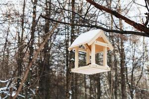 alimentador de pássaros no galho de árvore na floresta no inverno foto