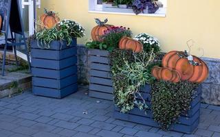 decoração no quintal para halloween abóboras de madeira laranja, flores em caixas de madeira cinza foto