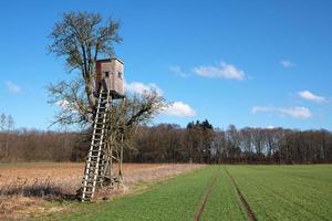 Deerstand, Eifel, Alemanha foto