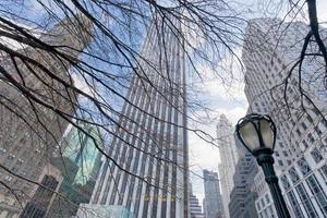 edifícios e árvores nuas em nova york foto