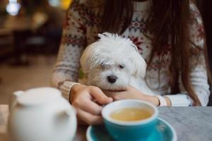 linda mulher está segurando seu cachorro fofo, tomando café no café foto