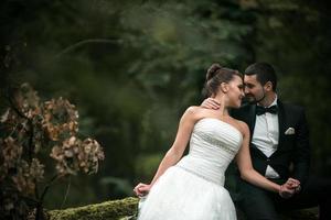 lindo casal de noivos sentado na floresta foto