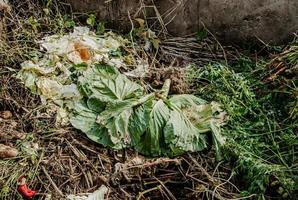 poço de compostagem para resíduos alimentares. conceito de fertilizantes orgânicos para jardim. foto