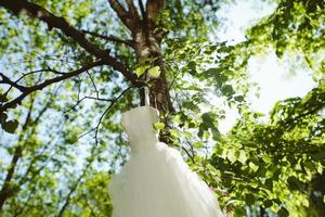 vestido de noiva pendurado em uma árvore foto