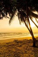 praia do mar com coqueiro na hora do pôr do sol foto