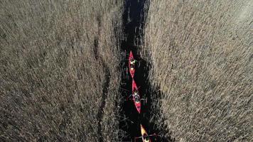 grupo de pessoas em caiaques entre juncos no rio outono. foto