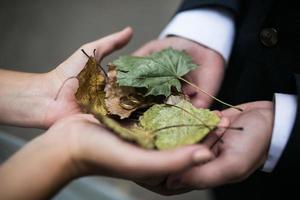 noivos segurando alianças e folhas de outono nas mãos foto