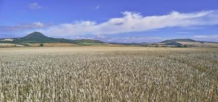 vistas paisagem agrícola foto