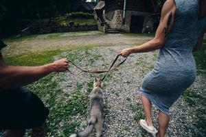 casal corre na estrada na natureza com cachorro foto