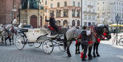 cracóvia, polônia, 2014. carruagem e cavalos em cracóvia foto