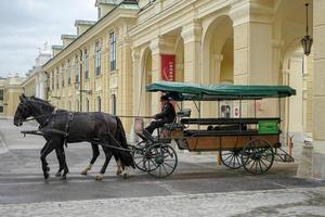 viena, áustria, 2014 cavalo e carruagem no palácio schonbrunn em viena foto