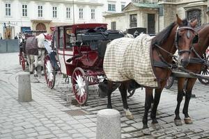viena, áustria, 2014. cavalo e carruagem para alugar em viena foto