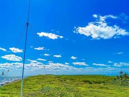 aves fregat rebanho voar blue sky fundo contoy ilha mexico. foto