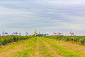 dique dique lamaçal ondas paisagem costa nordenham bremerhaven alemanha. foto