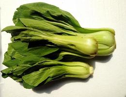 bok coy isolado em um fundo branco, pakcoy ou bok choy é um tipo popular de vegetal. este vegetal, também conhecido como mostarda de colher, é fácil de cultivar e pode ser consumido fresco foto