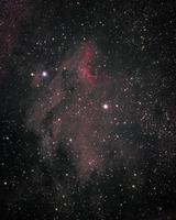 a nebulosa do pelicano foto