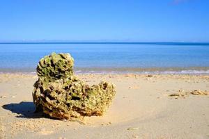 rocha coral na praia de okinawa foto