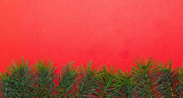 galhos de árvores de natal. o conceito de ano novo, natal, natureza. bandeira. postura plana, vista superior em fundo branco foto