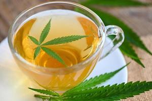 chá de cannabis ervas na xícara de chá com folha de cannabis folhas de maconha erva em fundo de madeira, chá de saúde com folha de cânhamo planta thc cbd ervas alimentos e médicos foto