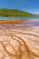 pegadas de bisão podem ser vistas nesta imagem da grande primavera prismática no parque nacional de yellowstone. foto