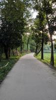 caminho da estrada no parque para relaxar a paisagem de corrida a pé foto