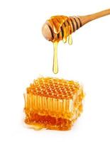 favo de mel doce e mel de madeira pingando isolado em um fundo branco. concha de mel foto