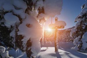 cruz de madeira coberta de neve fresca na bela manhã de inverno fresco foto