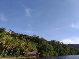 uma ilha tropical com areia branca e palmeira foto