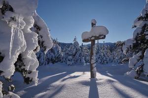 fundo de neve de inverno foto