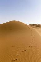 pegada na areia do deserto