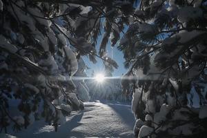 nascer do sol de inverno com floresta coberta de neve fresca e montanhas foto