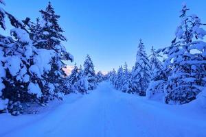 nascer do sol de inverno com floresta coberta de neve fresca e montanhas foto