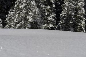 fundo de neve de inverno foto