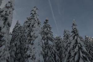 paisagem de montanha do inverno foto