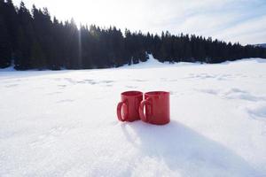 casal se divertindo e andando com sapatos de neve foto