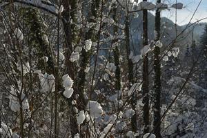 paisagem de inverno montanha foto