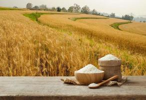arroz de jasmim na tigela e saco de serapilheira na mesa de madeira com o fundo de campo de arroz dourado foto