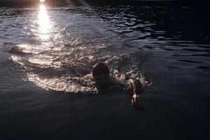 atleta de triatlo nadando no lago ao nascer do sol vestindo roupa de mergulho foto