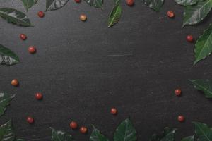 fechar grãos de café vermelhos orgânicos frescos com folhas de café em fundo preto com espaço de cópia foto