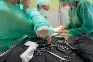 cirurgia abdominal real em um gato em um ambiente hospitalar