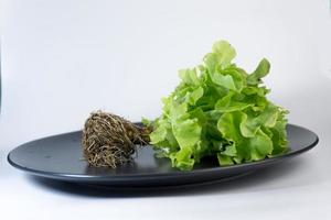 salada verde em um prato branco foto