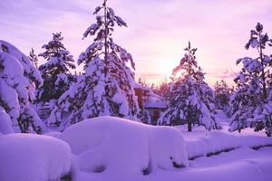nascer do sol de inverno com floresta coberta de neve fresca e montanhas foto