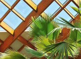 construção de telhado de palma e madeira foto
