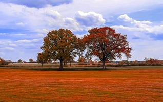 bela vista panorâmica em uma paisagem de outono dourada encontrada na europa foto