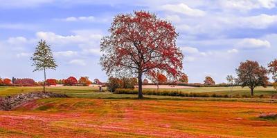 bela vista panorâmica em uma paisagem de outono dourada encontrada na europa foto